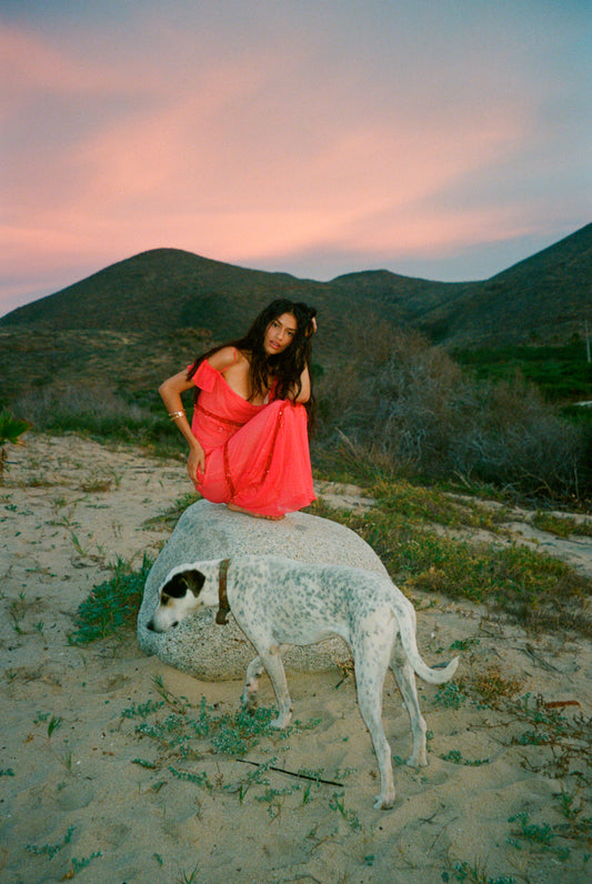 Layla Hand Beaded Gown - Geranium